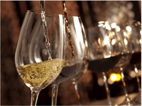 Le vin, conférence et dégustation